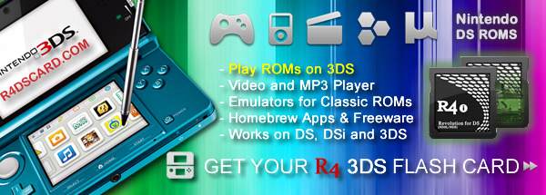 does r4 work on 3ds