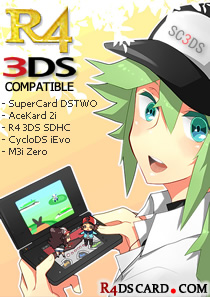 R4 3DS Emulator - Download