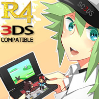 R4 3DS Compatible